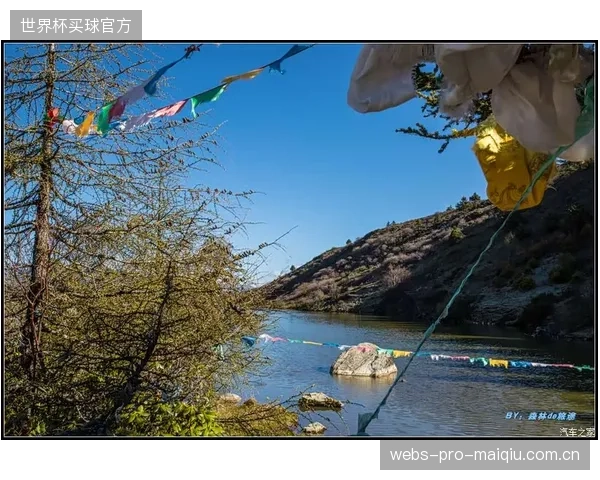 赛事评估的终局，将是决定城市公共健康管理（PublicHealth）投资回报率的关键一环